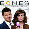 Bones