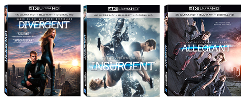 The Divergent Series