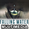 Falling Water Multimedia
