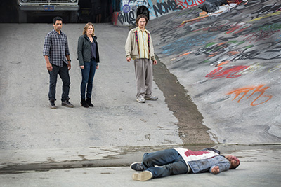 The Walking Dead Companion Series