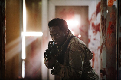 Z Nation