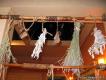 0IMG_1286.jpg